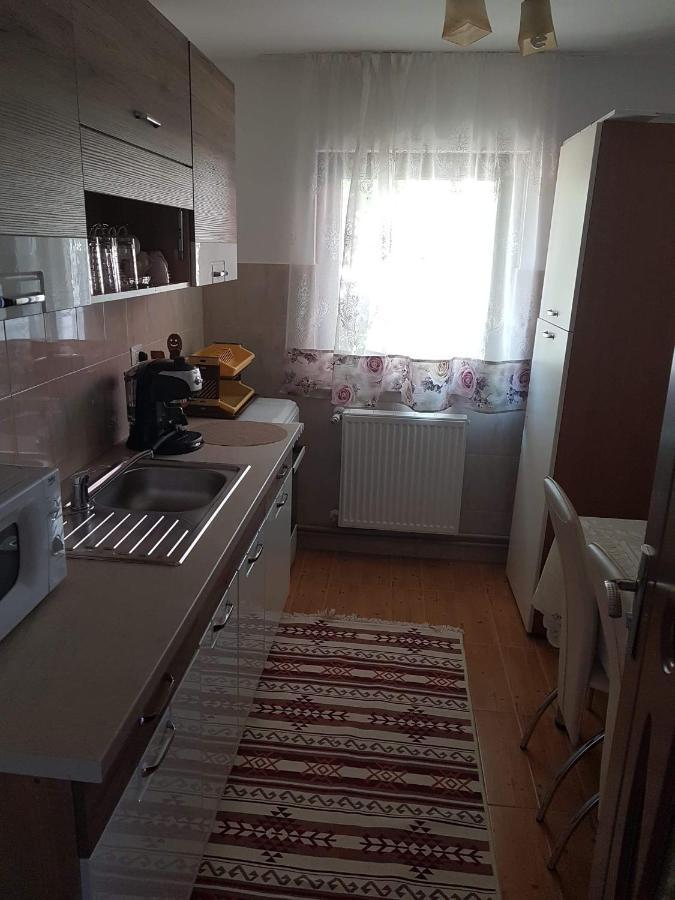 Hotel Casa Alma Borşa Zewnętrze zdjęcie