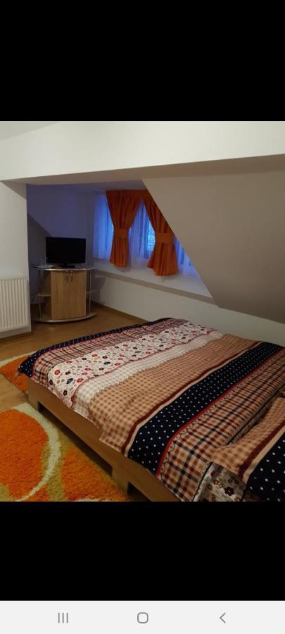Hotel Casa Alma Borşa Zewnętrze zdjęcie