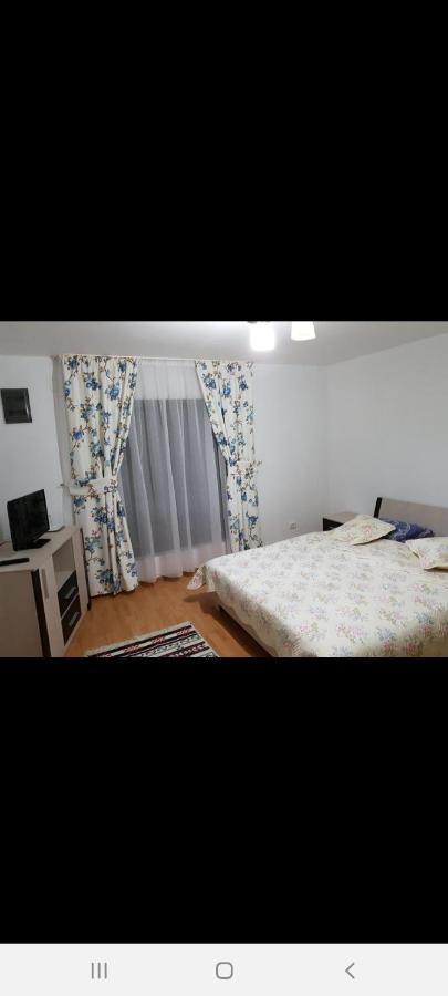 Hotel Casa Alma Borşa Zewnętrze zdjęcie