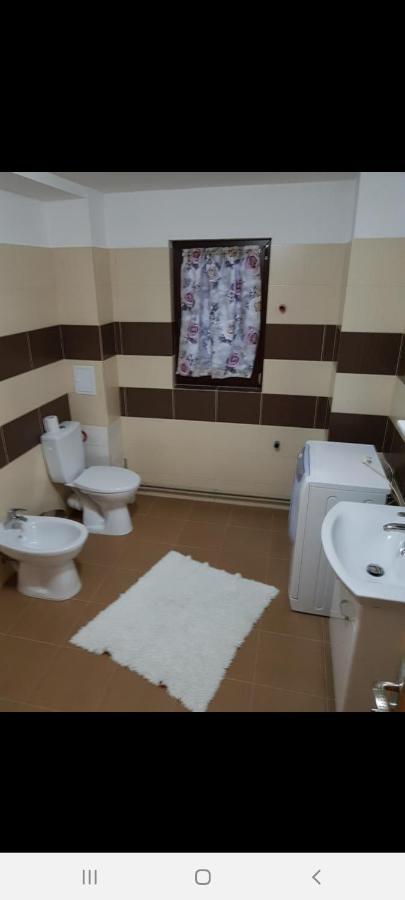 Hotel Casa Alma Borşa Zewnętrze zdjęcie