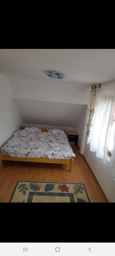 Hotel Casa Alma Borşa Zewnętrze zdjęcie