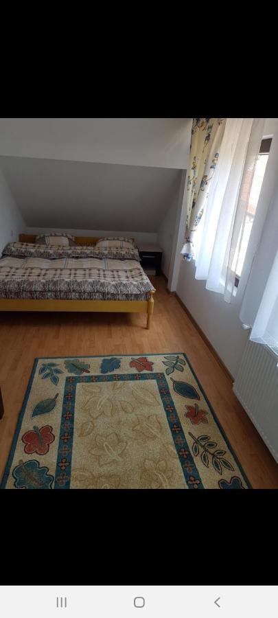 Hotel Casa Alma Borşa Zewnętrze zdjęcie