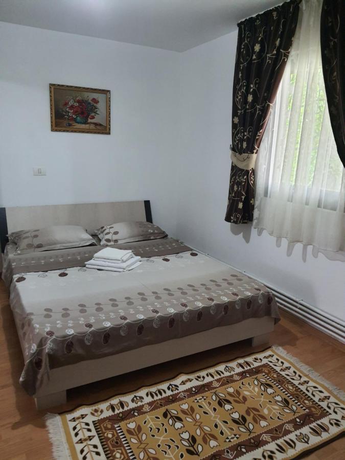 Hotel Casa Alma Borşa Zewnętrze zdjęcie