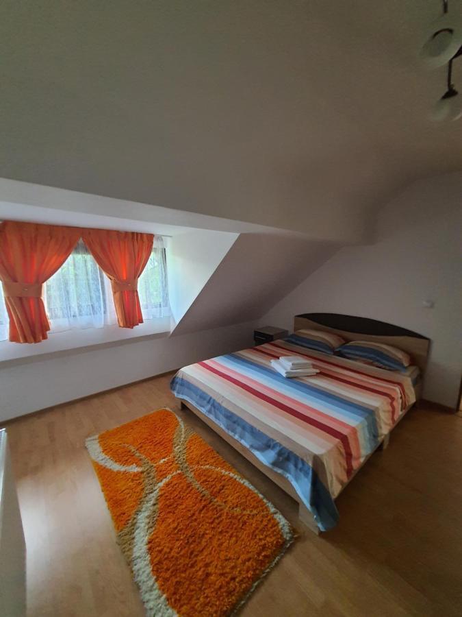 Hotel Casa Alma Borşa Zewnętrze zdjęcie