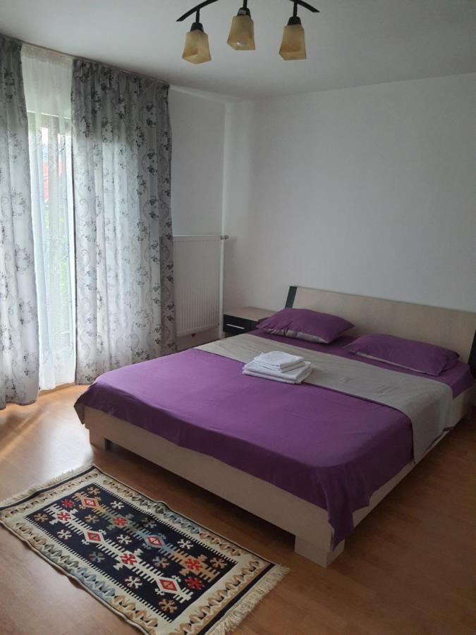 Hotel Casa Alma Borşa Zewnętrze zdjęcie