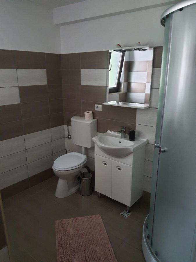 Hotel Casa Alma Borşa Zewnętrze zdjęcie