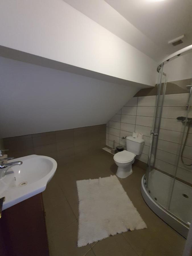 Hotel Casa Alma Borşa Zewnętrze zdjęcie