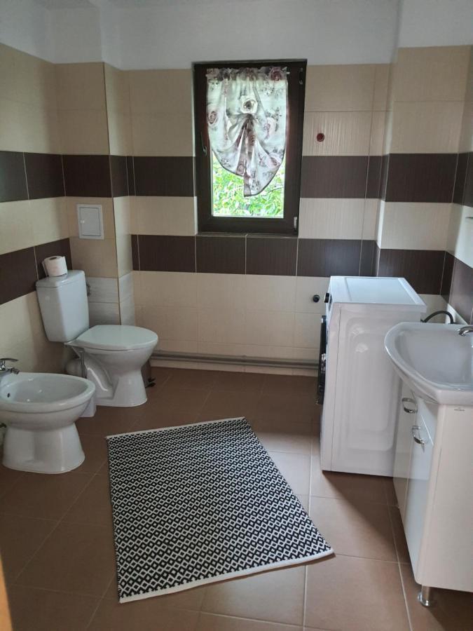 Hotel Casa Alma Borşa Zewnętrze zdjęcie