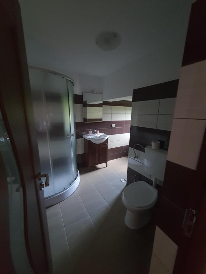Hotel Casa Alma Borşa Zewnętrze zdjęcie