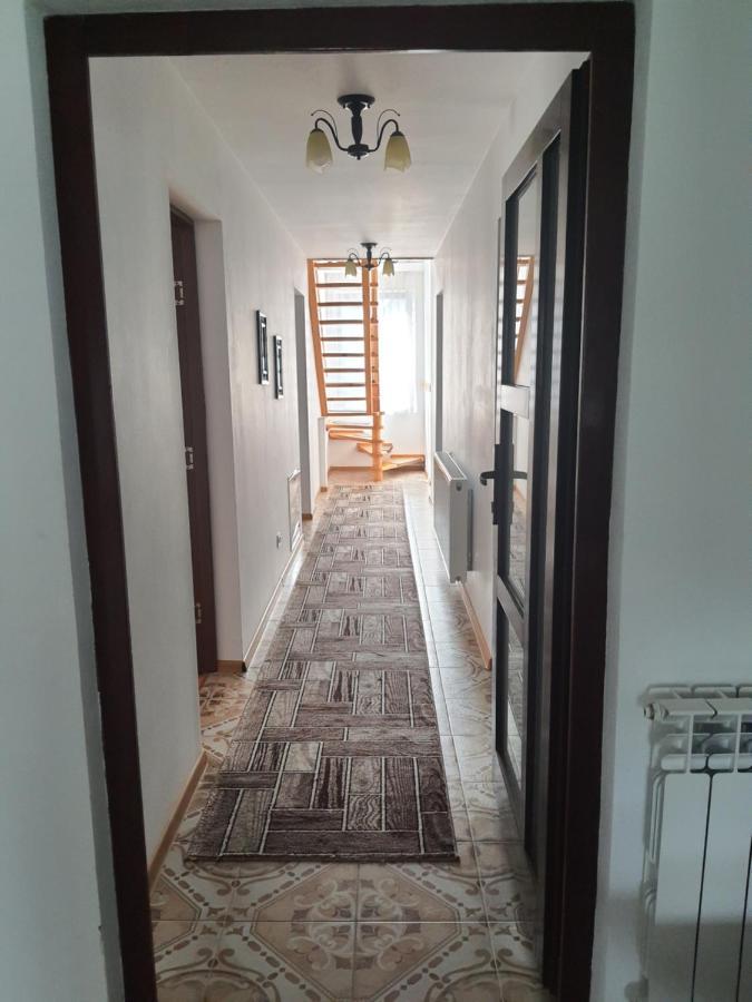 Hotel Casa Alma Borşa Zewnętrze zdjęcie