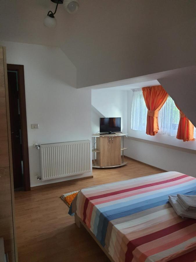 Hotel Casa Alma Borşa Zewnętrze zdjęcie