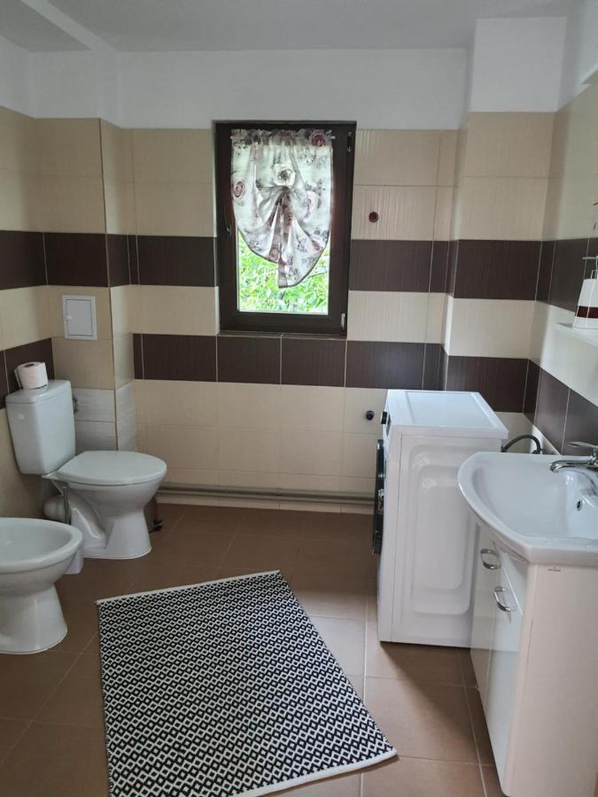 Hotel Casa Alma Borşa Zewnętrze zdjęcie