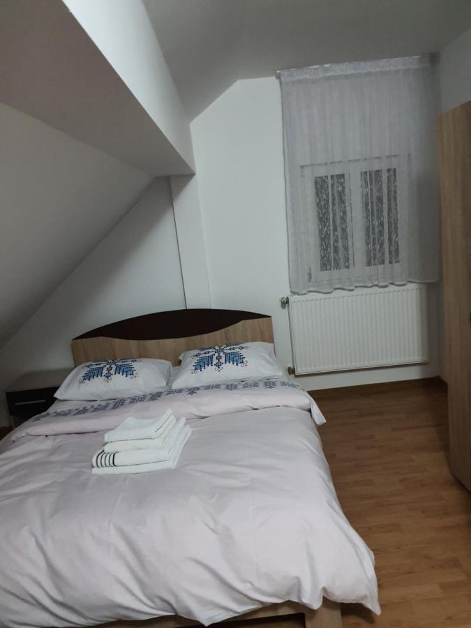 Hotel Casa Alma Borşa Zewnętrze zdjęcie