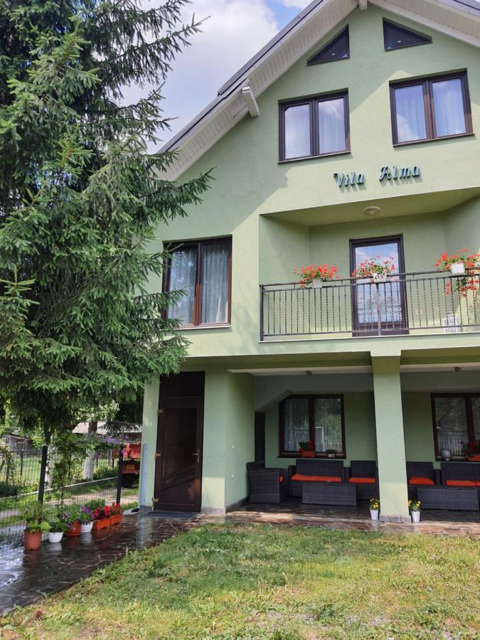 Hotel Casa Alma Borşa Zewnętrze zdjęcie
